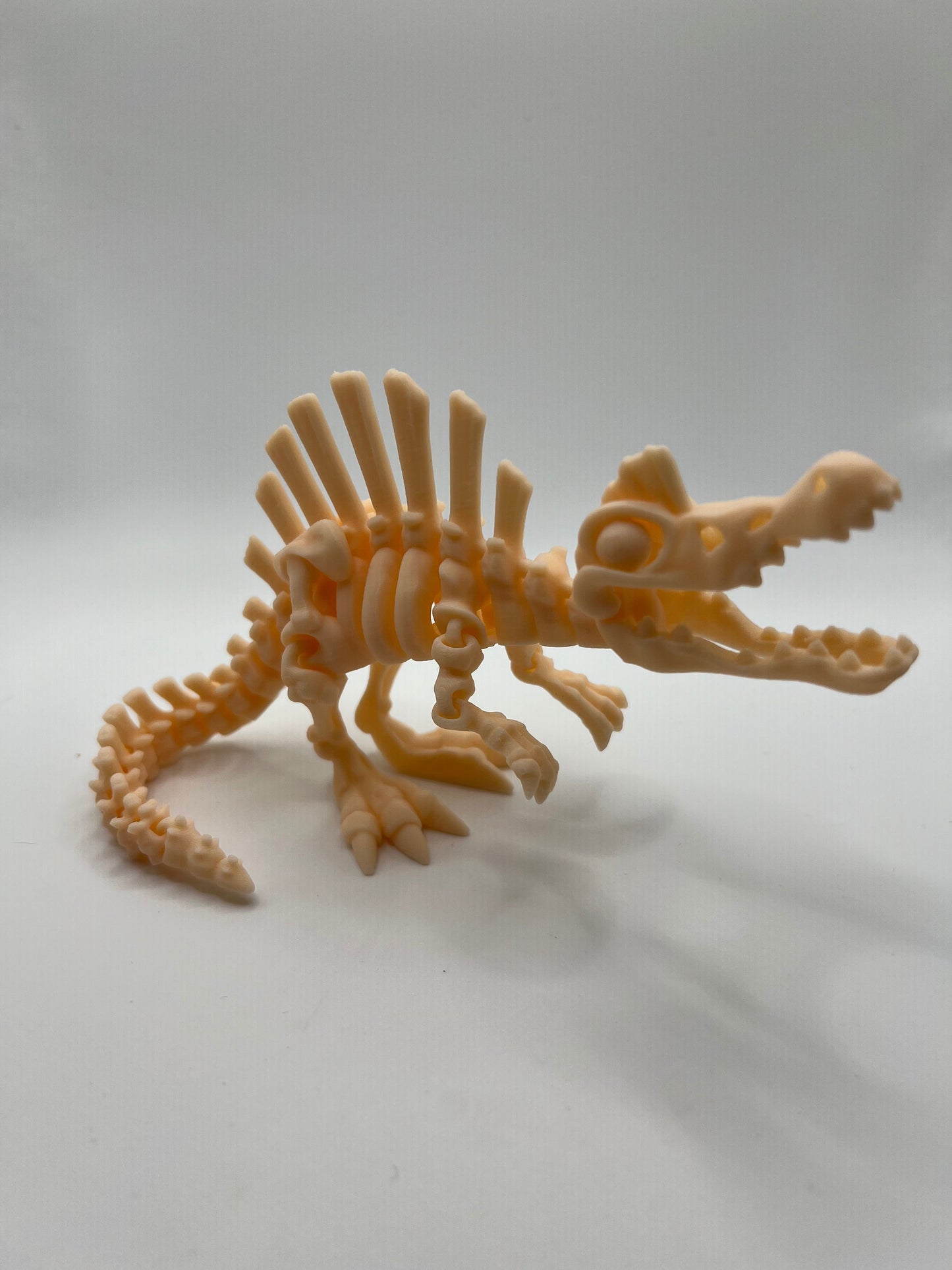 Skeletal Dinosaurs!