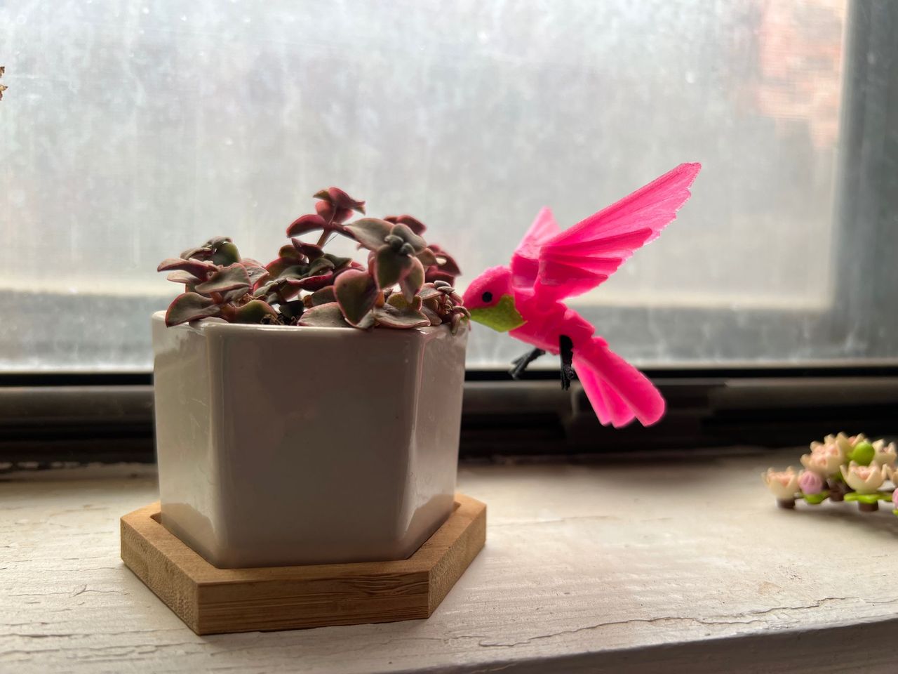 Articulated Hummingbirds!