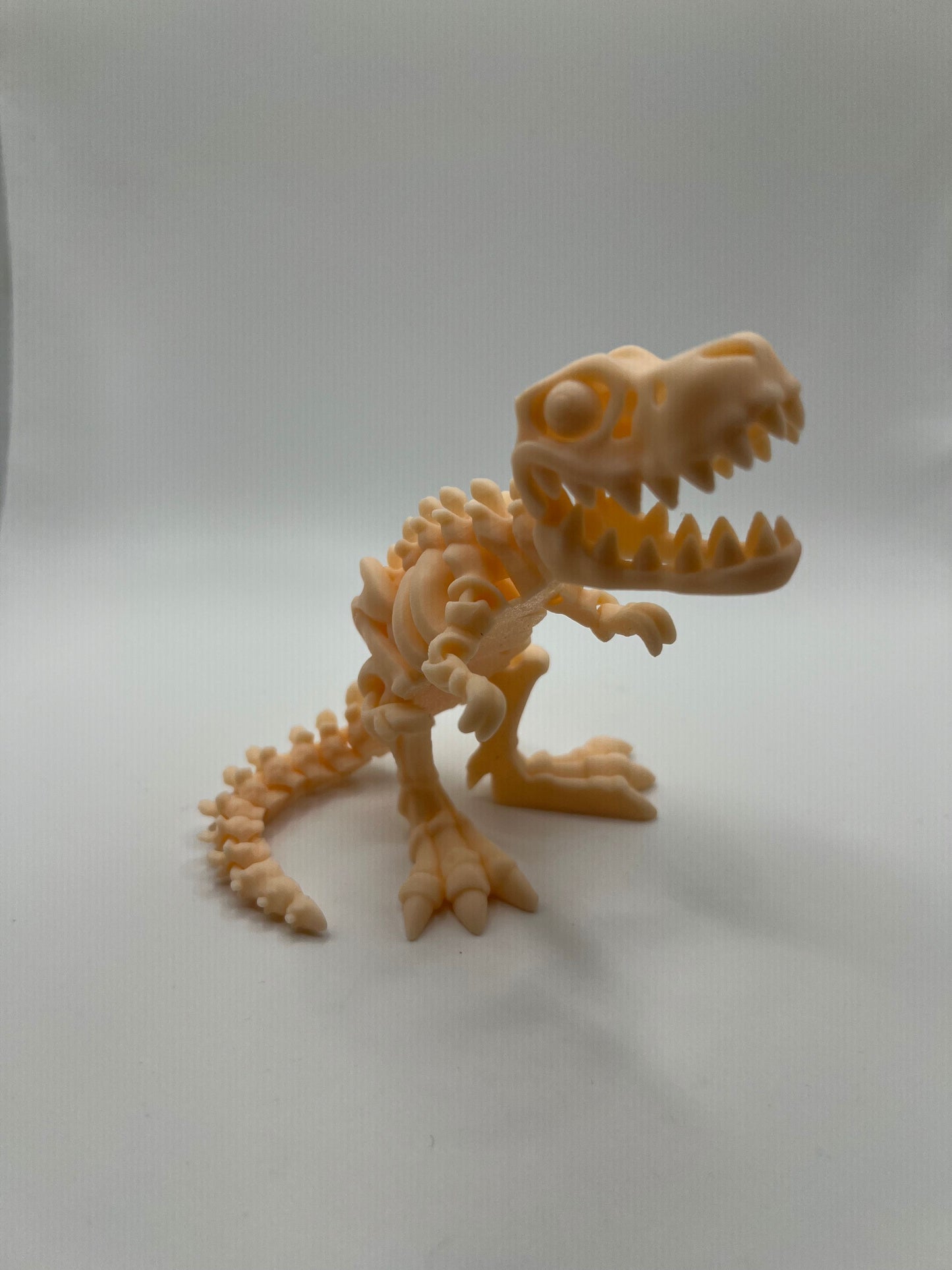Skeletal Dinosaurs!