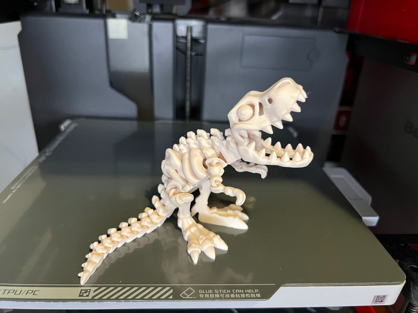 Skeleton T-Rex