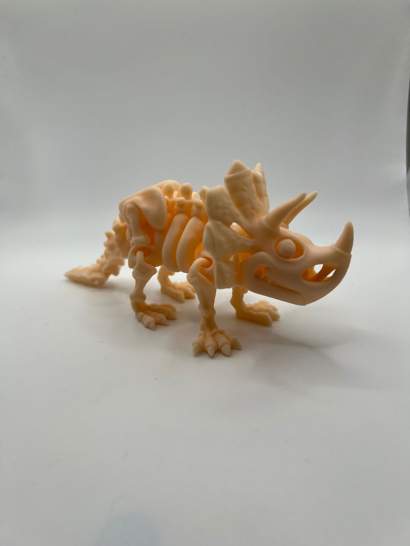 Skeletal Dinosaurs!
