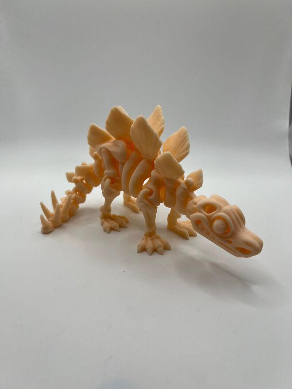 Skeletal Dinosaurs!