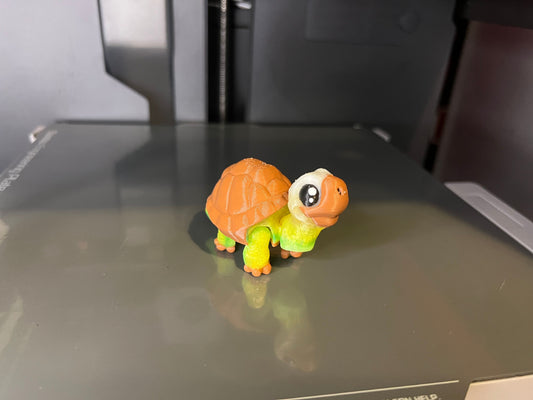 Mini Flexi Tortoise!