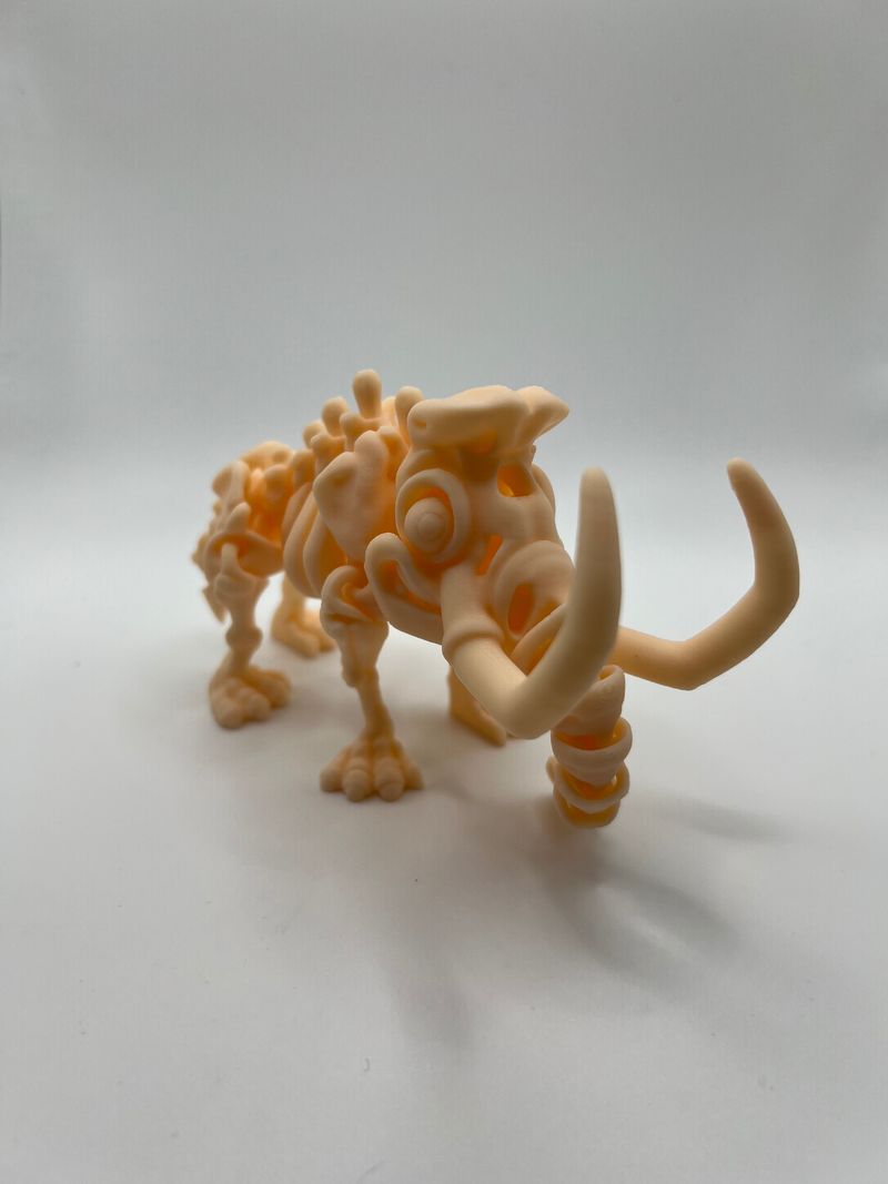 Skeletal Dinosaurs!